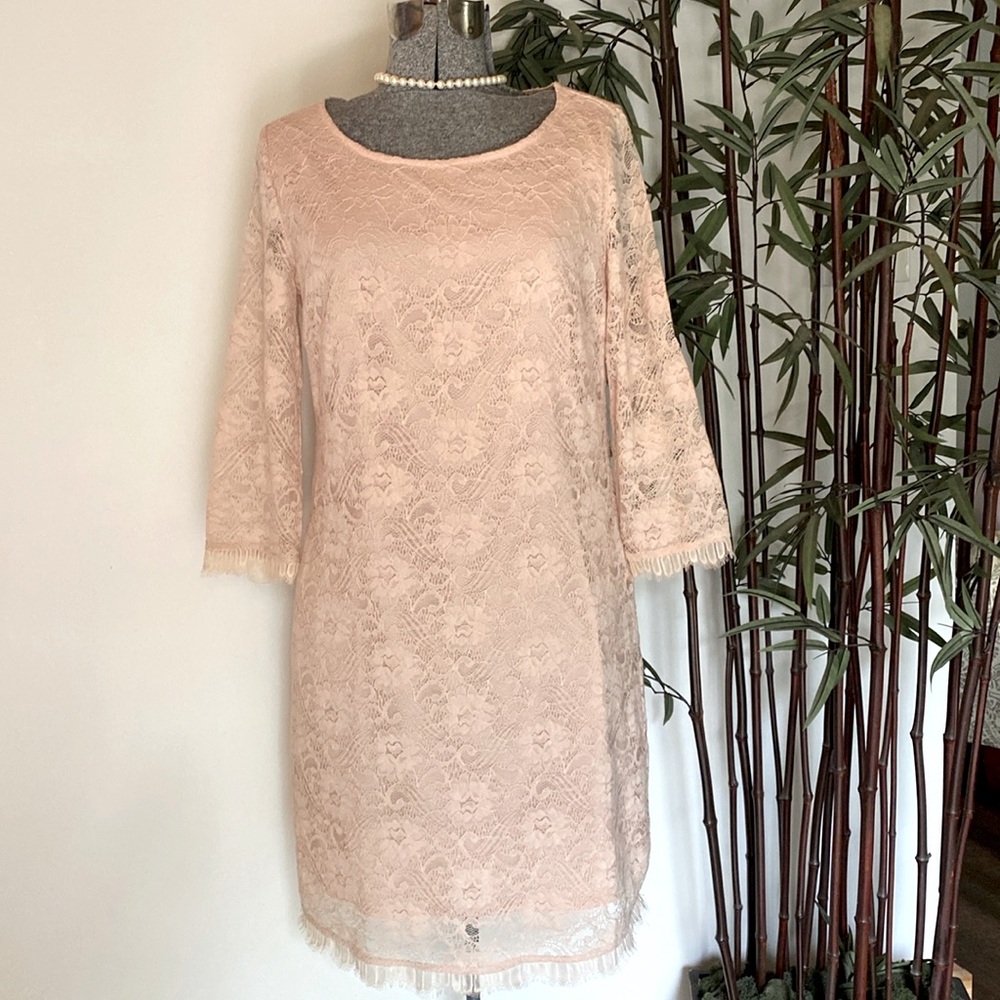 New York & Co Blush Dress Sz S
